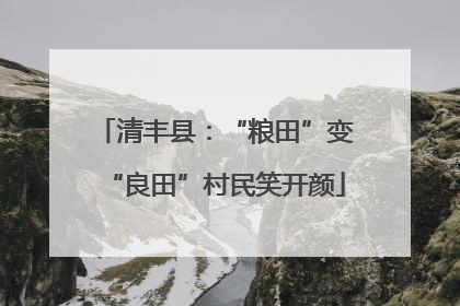 清丰县：“粮田”变“良田”村民笑开颜