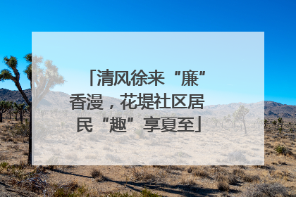 清风徐来“廉”香漫，花堤社区居民“趣”享夏至