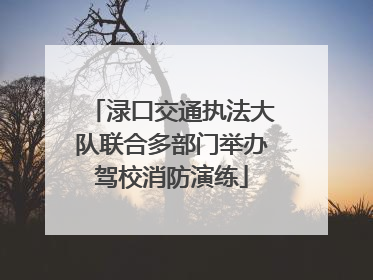 渌口交通执法大队联合多部门举办驾校消防演练