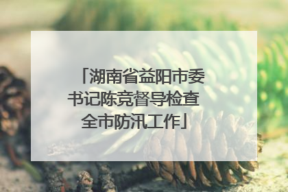 湖南省益阳市委书记陈竞督导检查全市防汛工作