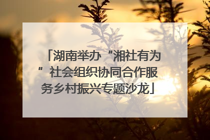 湖南举办“湘社有为”社会组织协同合作服务乡村振兴专题沙龙