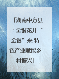 湖南中方县：金银花开“金银”来 特色产业赋能乡村振兴
