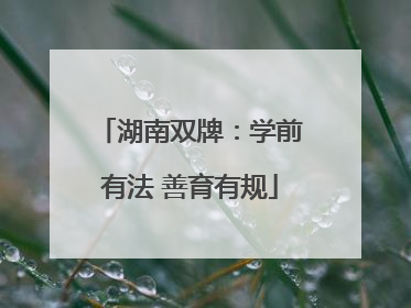 湖南双牌：学前有法 善育有规