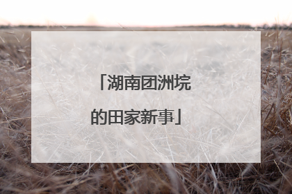 湖南团洲垸的田家新事