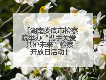 湖南娄底市检察院举办“携手关爱 共护未来”检察开放日活动