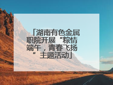 湖南有色金属职院开展“粽情端午，青春飞扬”主题活动
