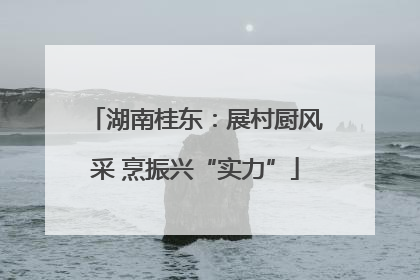 湖南桂东：展村厨风采 烹振兴“实力”