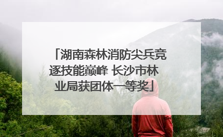 湖南森林消防尖兵竞逐技能巅峰 长沙市林业局获团体一等奖