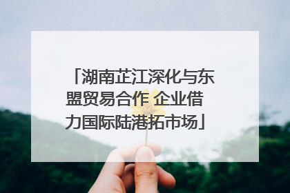 湖南芷江深化与东盟贸易合作 企业借力国际陆港拓市场