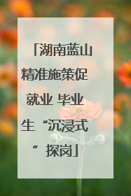 湖南蓝山精准施策促就业 毕业生“沉浸式”探岗