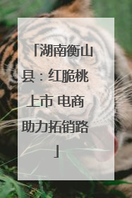 湖南衡山县：红脆桃上市 电商助力拓销路