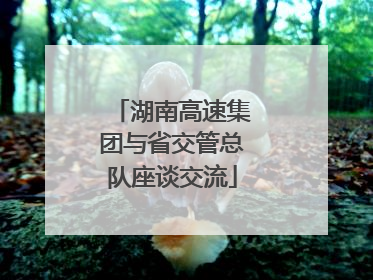 湖南高速集团与省交管总队座谈交流