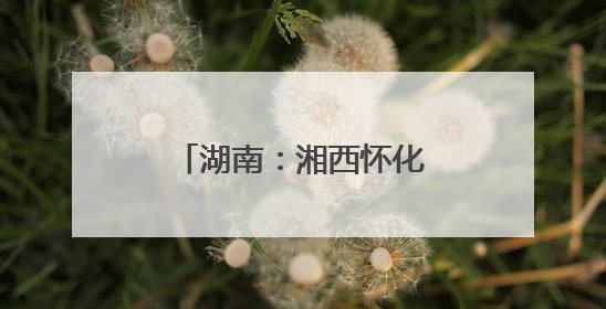 湖南：湘西怀化联合开展改善生态环境民主监督