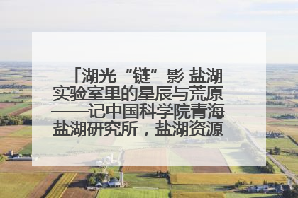 湖光“链”影 盐湖实验室里的星辰与荒原——记中国科学院青海盐湖研究所，盐湖资源化学实验室党总支书记、副主任刘忠