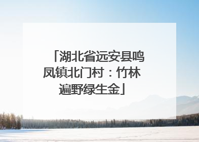 湖北省远安县鸣凤镇北门村：竹林遍野绿生金