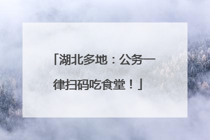 湖北多地：公务一律扫码吃食堂！