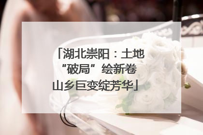 湖北崇阳：土地“破局”绘新卷 山乡巨变绽芳华