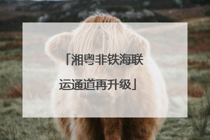 湘粤非铁海联运通道再升级