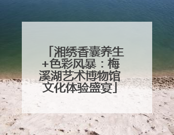 湘绣香囊养生+色彩风暴：梅溪湖艺术博物馆文化体验盛宴
