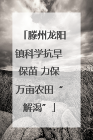 滕州龙阳镇科学抗旱保苗 力保万亩农田“解渴”