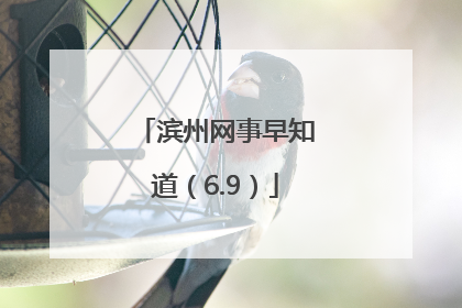 滨州网事早知道（6.9）