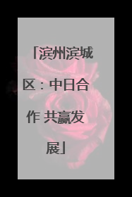 滨州滨城区：中日合作 共赢发展