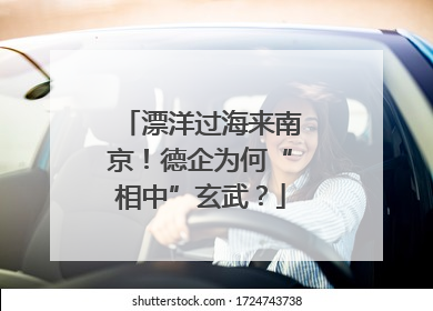 漂洋过海来南京！德企为何“相中”玄武？