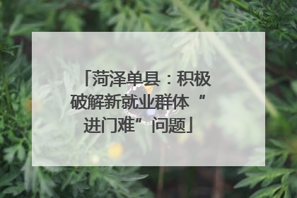 菏泽单县：积极破解新就业群体“进门难”问题