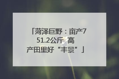 菏泽巨野：亩产751.2公斤  高产田里好“丰景”