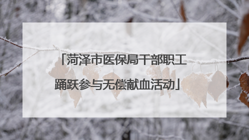 菏泽市医保局干部职工踊跃参与无偿献血活动