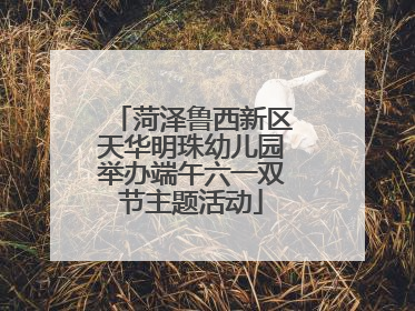 菏泽鲁西新区天华明珠幼儿园举办端午六一双节主题活动