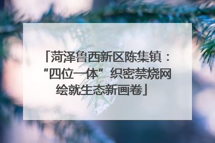 菏泽鲁西新区陈集镇：“四位一体”织密禁烧网 绘就生态新画卷