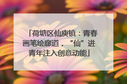 荷塘区仙庾镇：青春画笔绘廊道，“仙”进青年注入创意动能