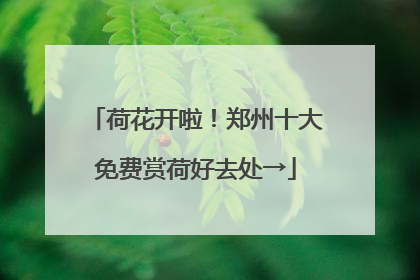荷花开啦！郑州十大免费赏荷好去处→