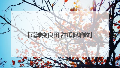 荒滩变良田 甜瓜促增收