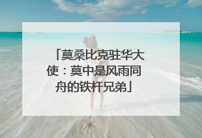 莫桑比克驻华大使：莫中是风雨同舟的铁杆兄弟