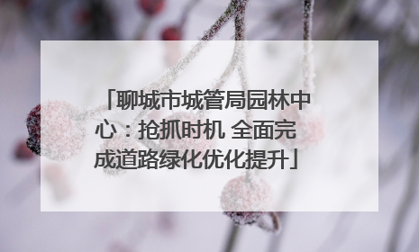 聊城市城管局园林中心：抢抓时机 全面完成道路绿化优化提升