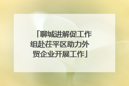 聊城进解促工作组赴茌平区助力外贸企业开展工作