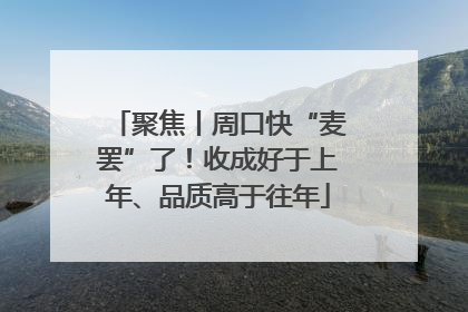 聚焦丨周口快“麦罢”了！收成好于上年、品质高于往年