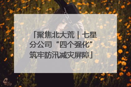 聚焦北大荒｜七星分公司“四个强化”筑牢防汛减灾屏障