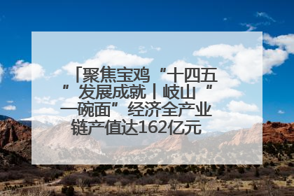 聚焦宝鸡“十四五”发展成就丨岐山“一碗面”经济全产业链产值达162亿元 入选全国典型县