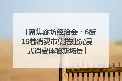 聚焦廊坊经洽会：6街16巷消费市集搭建沉浸式消费体验新场景