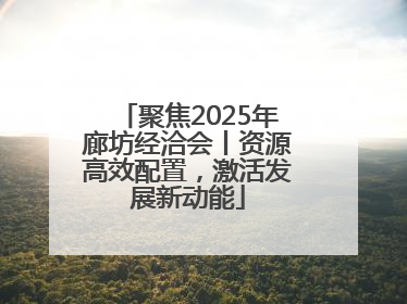 聚焦2025年廊坊经洽会丨资源高效配置，激活发展新动能