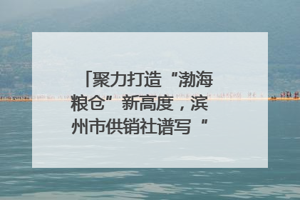 聚力打造“渤海粮仓”新高度，滨州市供销社谱写“三夏”丰收乐章