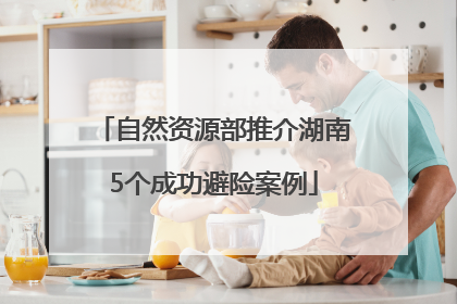 自然资源部推介湖南5个成功避险案例