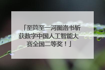 至简至一河图洛书斩获数字中国人工智能大赛全国二等奖！