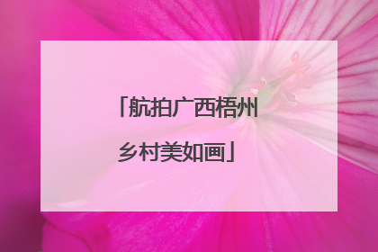 航拍广西梧州乡村美如画
