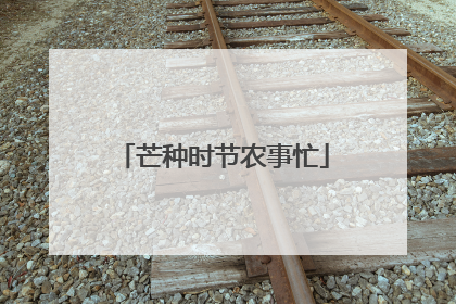 芒种时节农事忙