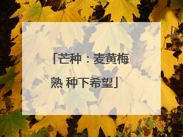 芒种：麦黄梅熟 种下希望