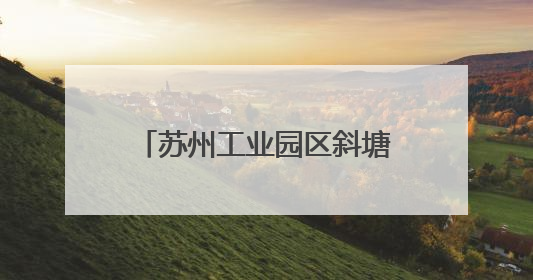苏州工业园区斜塘学校十岁成长礼暨2025年园区青少年健康月启动
